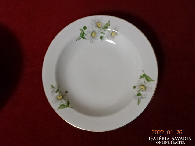 Lowland porcelain deep plate, daisy pattern, diameter 23 cm. He has! Jókai.