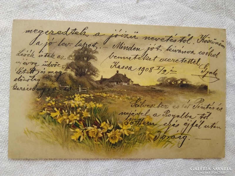 Antik/szecessziós litho/litográfiás képeslap, tájkép, virágok, jácint 1908
