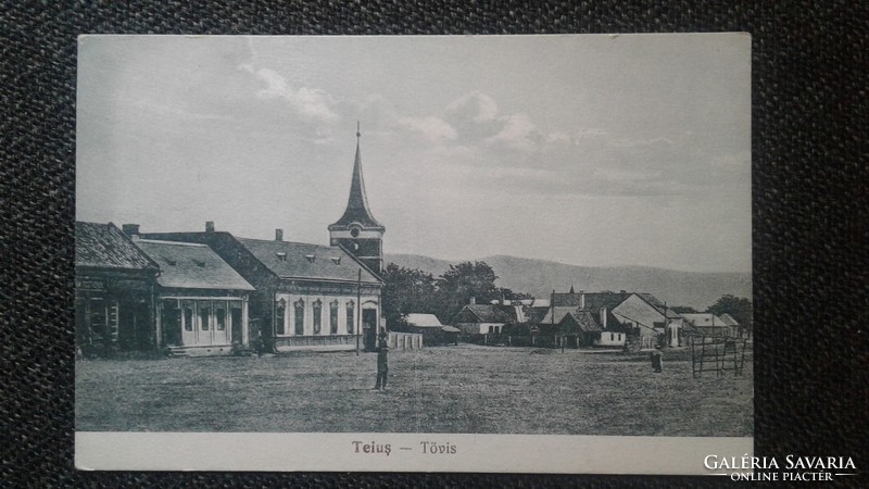 Thorns Transylvania postcard