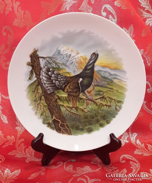 Siketfajdos vadász dísztányér, porcelán tányér (M1995)