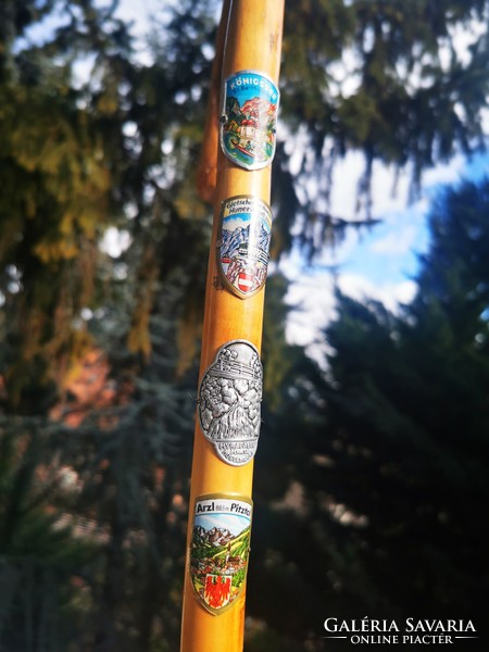 Old Austrian hiking stick