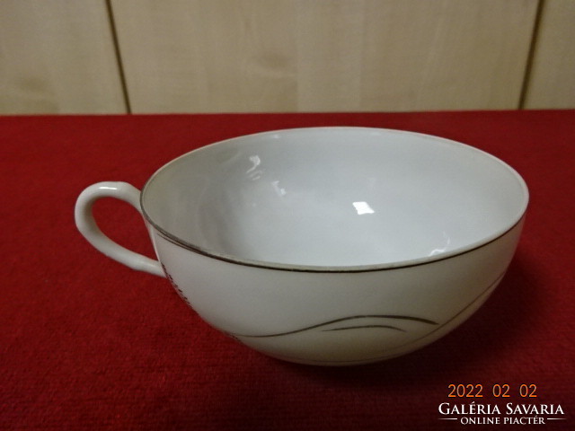 Japanese porcelain teacup with silver pattern on transparent. He has! Jókai.