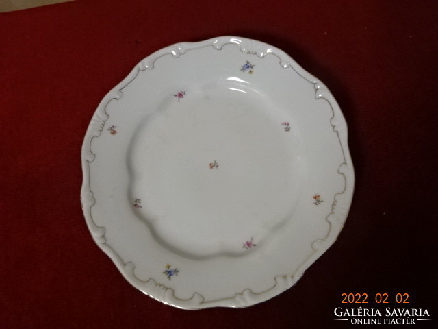 Zsolnay porcelán lapostányér, tollazott, átmérője 23,5 cm. Vanneki! Jókai.