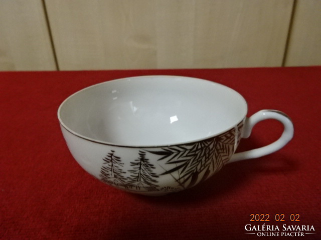 Japán porcelán teáscsésze, ezüst mintával, átlátszó. Vanneki! Jókai.