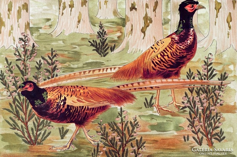 Maurice pillard verneuil - pheasants - reprint