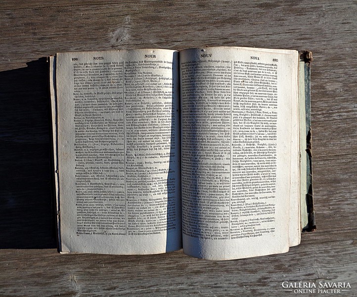 1840-41 angol-francia szótár A-Z-ig, két kötet