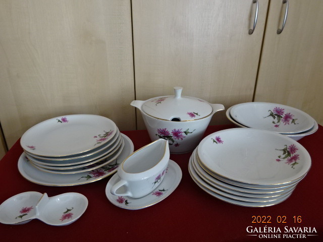 Lowland porcelain tableware with cyclamen flowers. 17 Pieces. He has! Jókai.