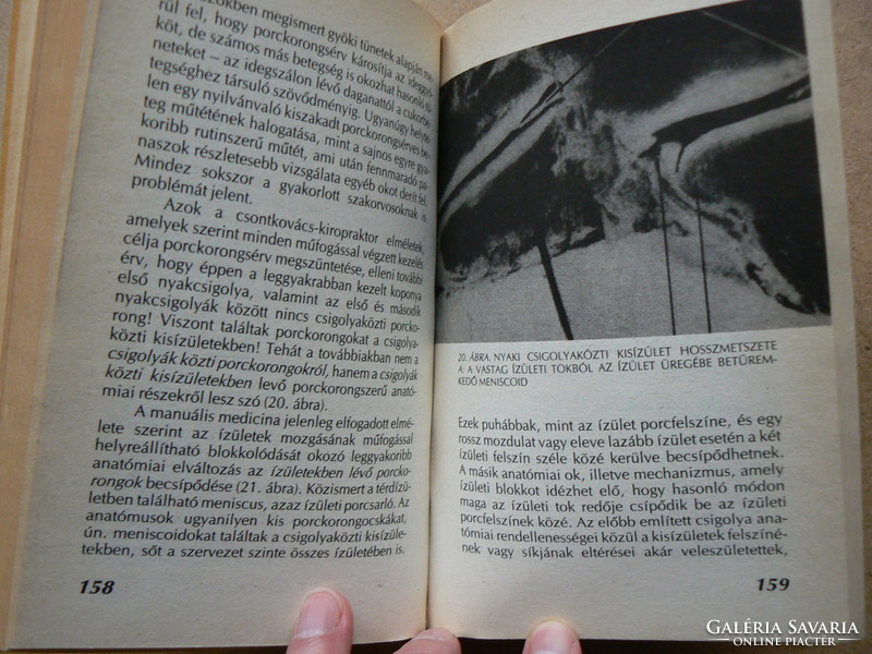 "A CSONTKOVÁCSOK TITKAI", DR. ORMOS GÁBOR 1990., KÖNYV JÓ ÁLLAPOTBAN
