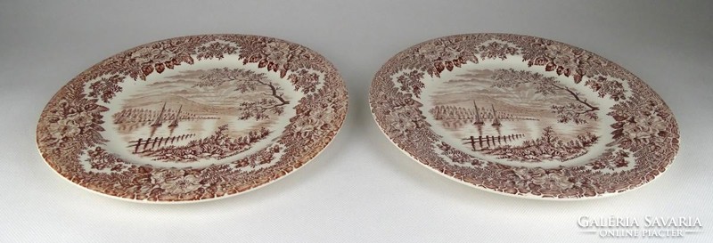 1H456 old derwentwater english faience plate pair 25 cm