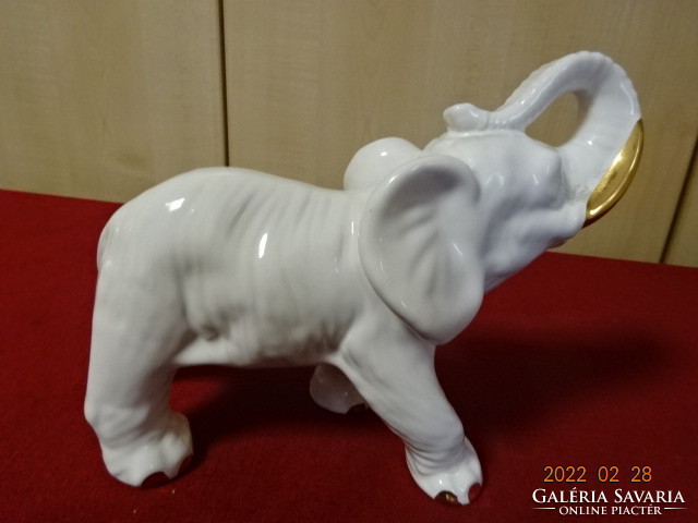Német porcelán figura, fehér elefánt arany agyarral, magassága 15,2 cm. Vanneki! Jókai.