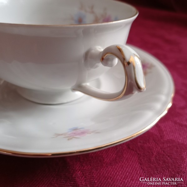 Antique Bavarian porcelain tea cup with saucer