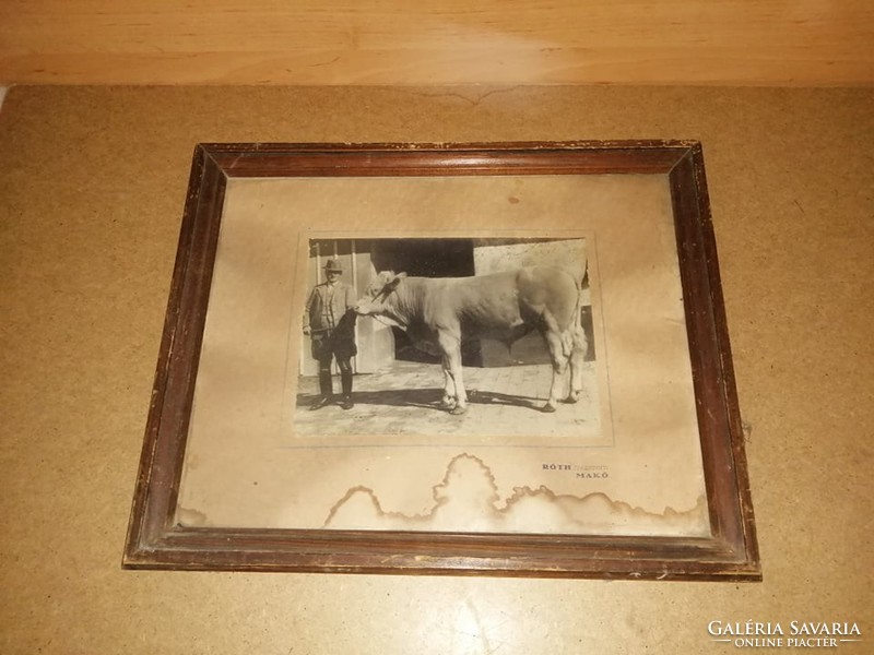 Antique photo glazed picture frame rote studio mako 36.5 * 44.5 cm