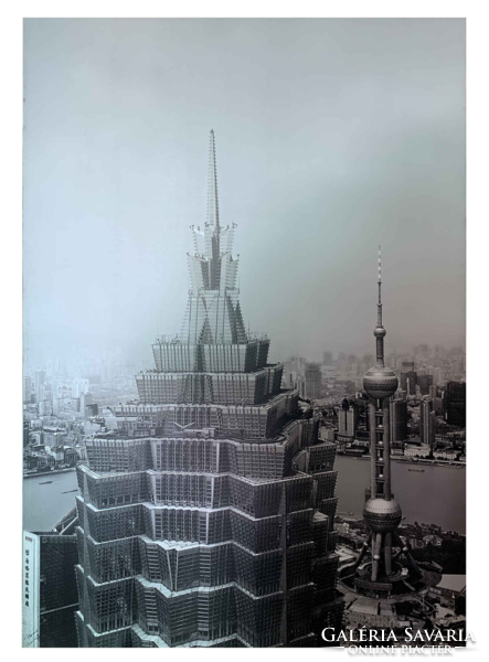 Contemporary photography: Shanghai Bamboo Tower photo mounted on aluminum