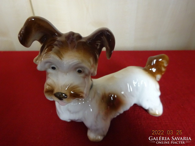 Német porcelán figura, kézzel festett kutya. Vanneki! Jókai.