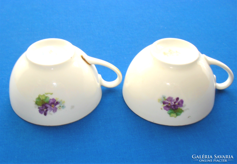 Porcelain cup decorated with 2 bouquets of old rosenthale violets and forget-me-nots