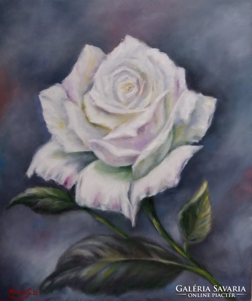Egy szál rózsa, olajfestmény,46 cm x 54 cm