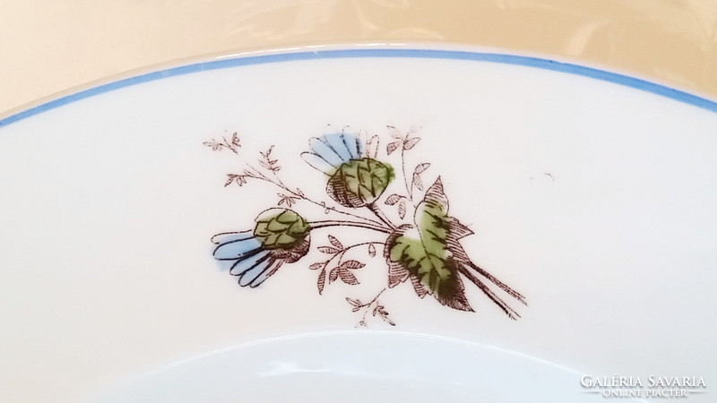 Old porcelain wall plate decorative plate vintage flower plate 23 cm