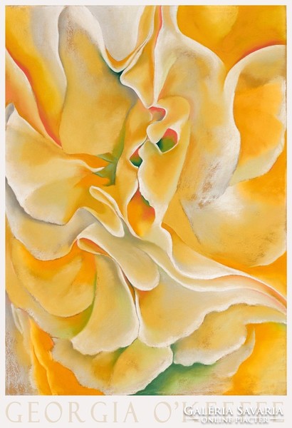 Modern művészeti plakát Georgia O'Keeffe Sárga szagosbükköny 1925 absztrakt virág festmény makro