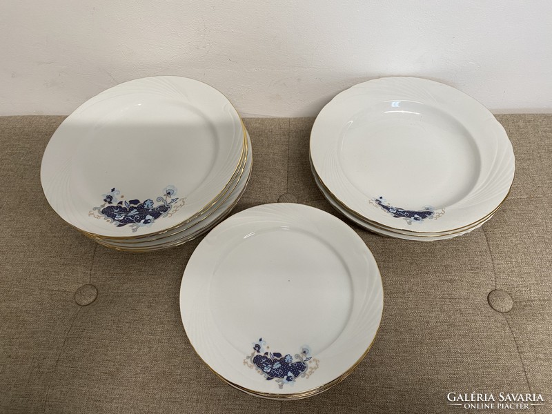 Iris cluj napoca porcelain plates a12