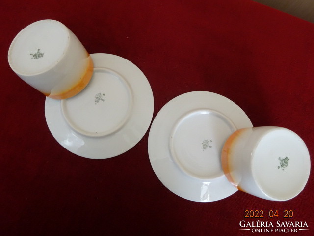 Zsolnay porcelain tea cup + saucer. Antique, shield seal. It has tea chandelier glaze! Jokai.