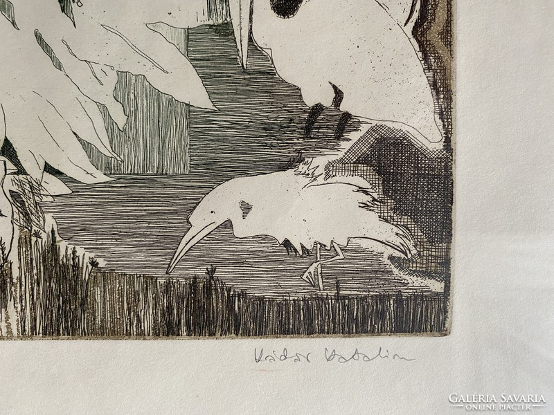 Katalin Kádár: bird sheet - colored etching