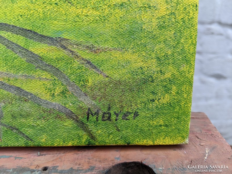 Máyer (49 * 40) - oil painting