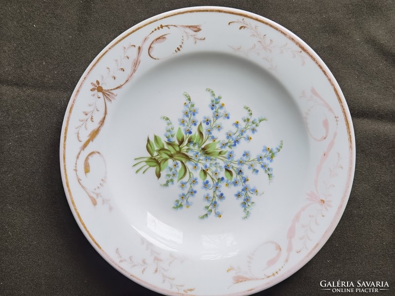I discounted it!!! Antique Biedermeier hand painted porcelain forget-me-not plate schlaggenwald