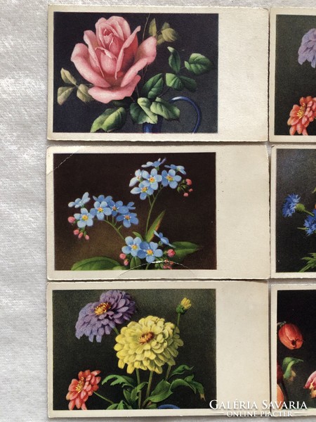 6 db   Antik  grafikus virágos mini képeslap, üdvözlőlap  -  postatiszta