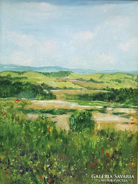 Abrahám Rafael (1929-2014) : Virágos mező, 80x60 cm.