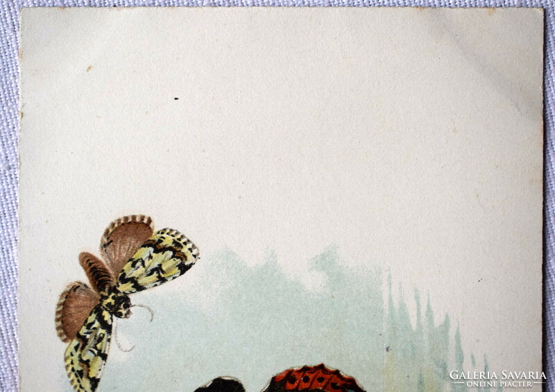 Antique r tuck greeting litho postcard with butterflies