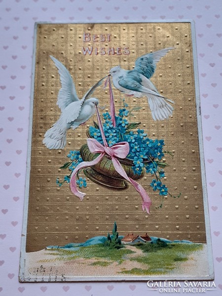 Régi képeslap 1909 dombornyomott levelezőlap fehér galambok nefelejcs
