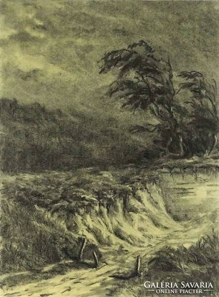 1I786 xx. Century artist: stormy landscape