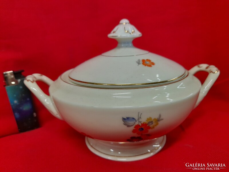 Haas & czjzek schlaggenwald porcelain sugar bowl with handles, offering.1918-1945.