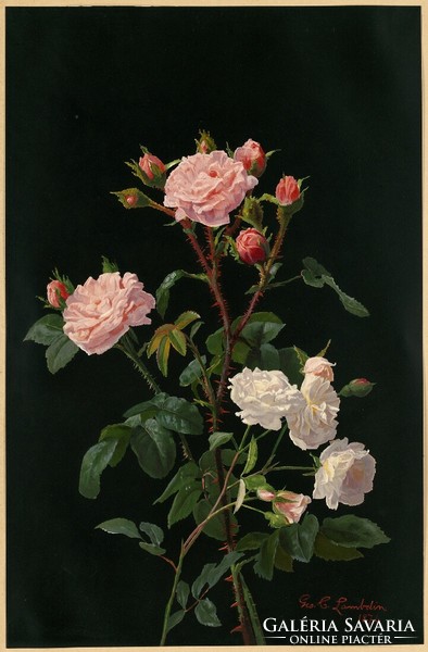 George Lambdin - Rózsaszín és fehér Rózsák - vászon reprint vakrámán