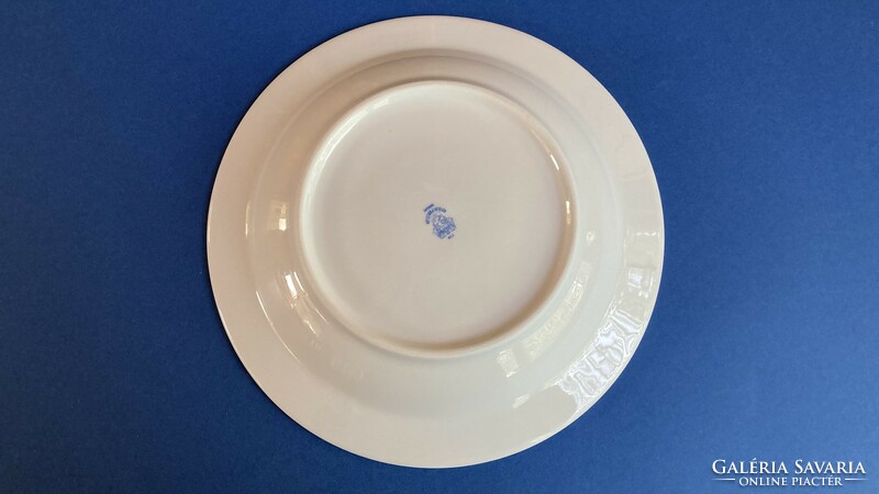 Alföldi blue striped canteen deep plate soup plate