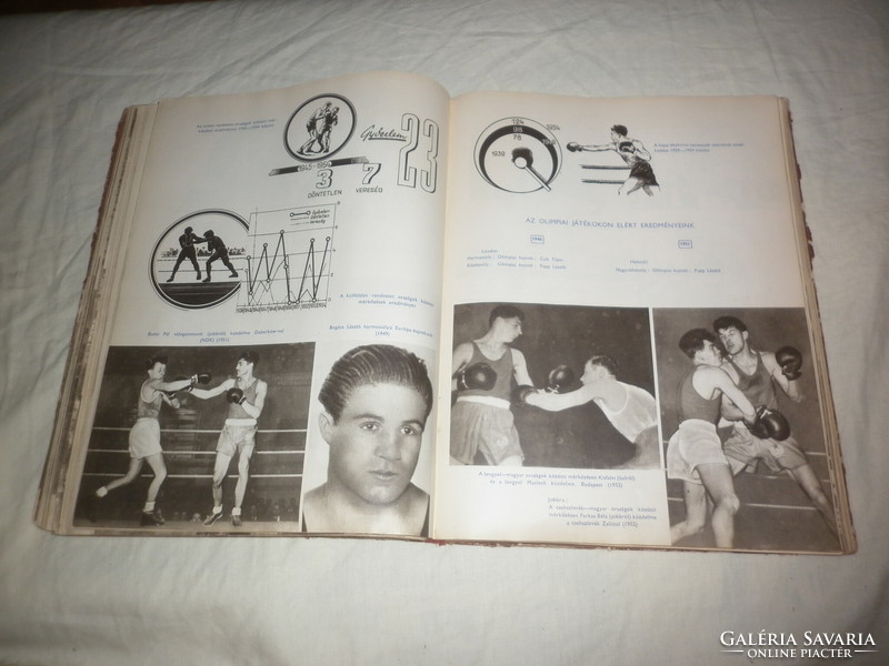 Régi könyv szabad magyar sport tíz éve 1955