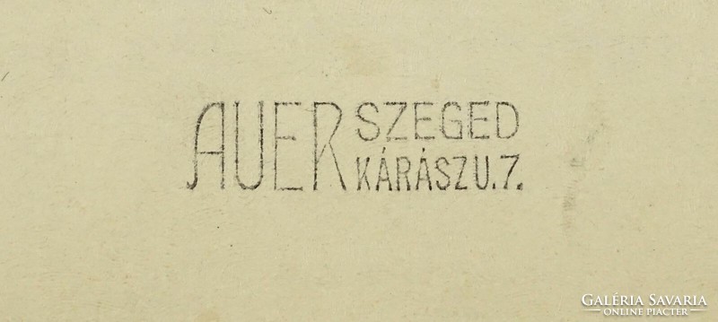 1I846 Antik Szegedi Általános Munkás Dalegylet csoportkép fotográfia AUER SZEGED