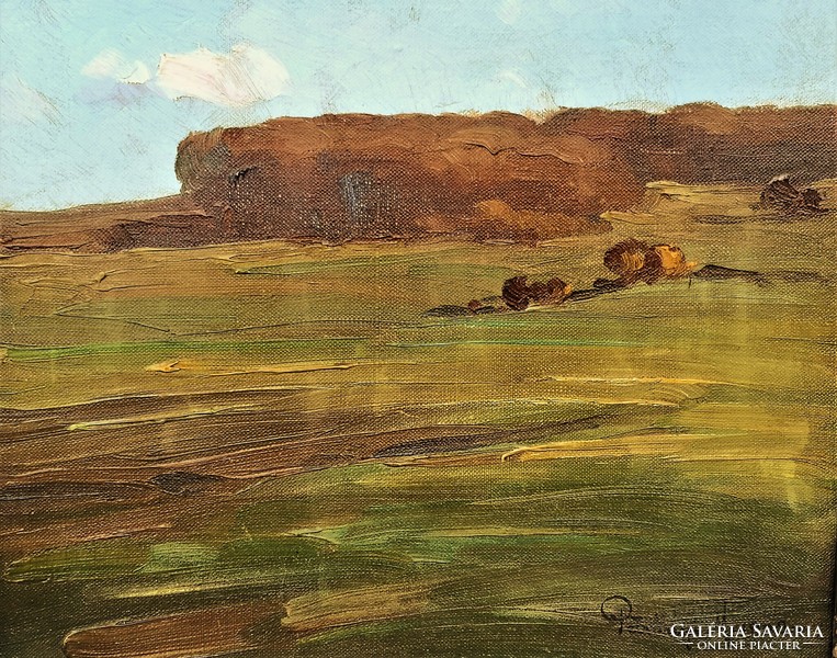 Miklós Petrányi (1877 -?) Forest Edge 1908 oil painting with original guarantee