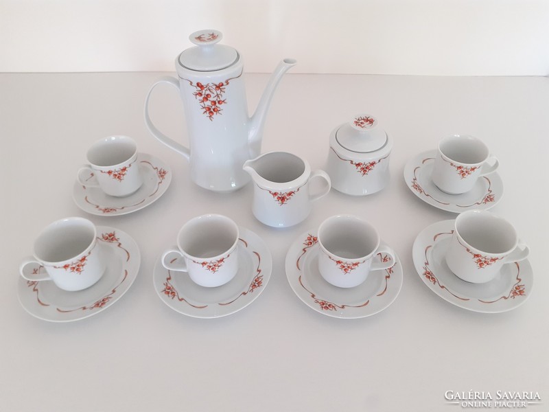 Retro lowland porcelain coffee set with old mocha berry pattern