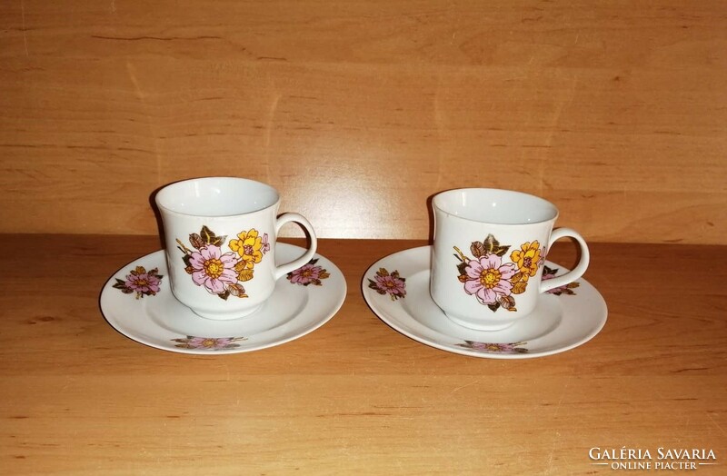 Alföldi porcelain coffee cup with bottom in a pair (4-6/k)