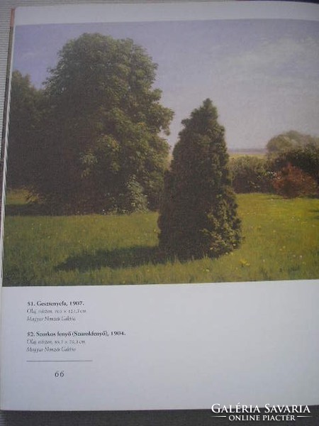 Szinyei merse is the book album of the masters of Hungarian painting