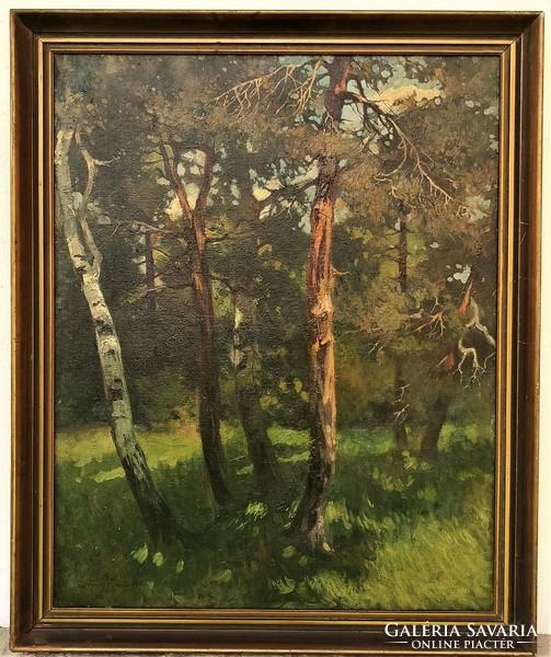 Pogány Ferenc (1886 - 1930) Erdőbelső 1911 c. festménye Eredeti Garanciával!