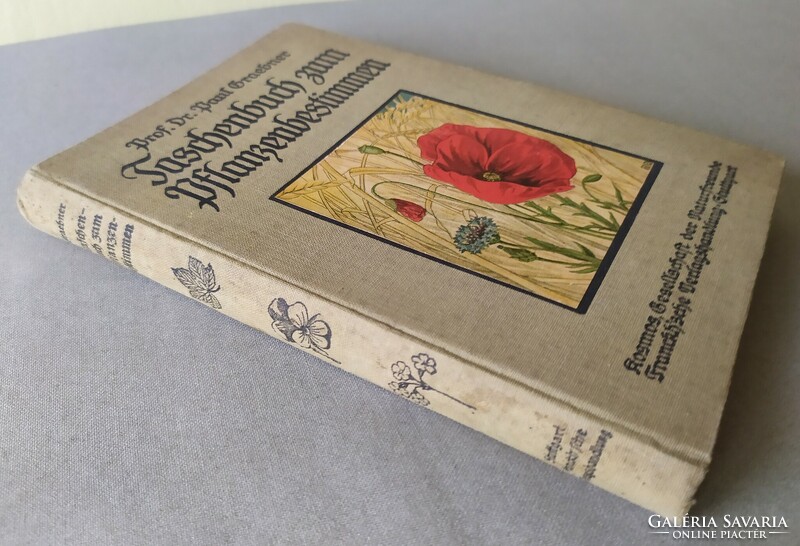 Dr Paul Graebner - Taschenbuch zum Pflanzenbestimmen c. német nyelvű könyv eladó!