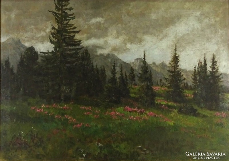 1J089 xx. Century painter: pine at the foot of the Tatras