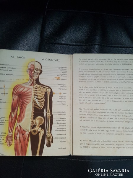 The human body medical advertisement is a publication of interest.