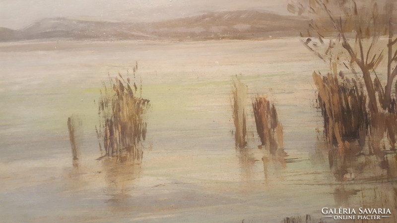 Otto Vágfalvi: reeds at Lake Balaton