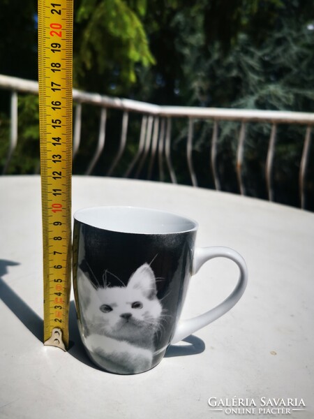 Kitten mug
