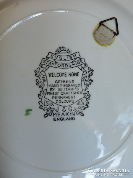 Vintage j & g meakin welcome home flat plate