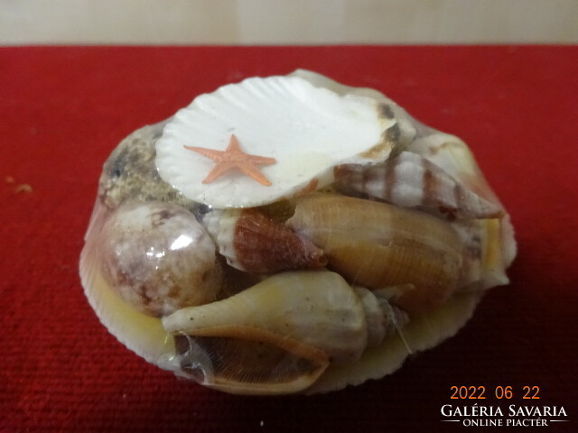 Assorted shells, in original packaging, diameter approx. 7.5 cm. He has! Jókai.