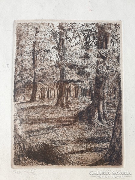Éva Scultéty (1917-2001) - autumn forest